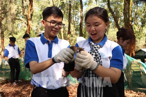 Du khách trải nghiệm dỡ chà. Ảnh: Hồng Nhung - TTXVN
