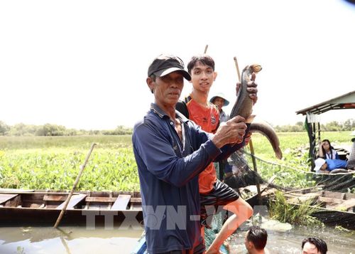 Nông dân và du khách khoe thành phẩm dỡ chà cá. Ảnh: Hồng Nhung - TTXVN