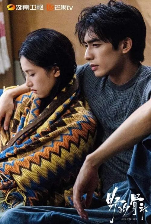 Ngay từ tên phim, nhiều khán giả từng nghĩ đây là một dự án khó xem. Tuy nhiên, sau khi phát sóng, bộ phim lại nhận được nhiều lời khen. Ảnh: NSX