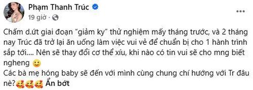 Chia sẻ mới của Thanh Trúc nhanh chóng làm dấy lên nghi vấn nữ diễn viên đang mong chờ đón thêm thành viên mới. Ảnh: Chụp màn hình.