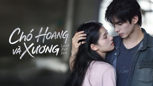 Phát sóng từ đầu tháng 7, Chó Hoang và Xương lựa chọn đề tài tình cảm đô thị kết hợp yếu tố ngược tâm. Bộ phim do Tống Uy Long và Trương Tịnh Nghi đóng chính, khai thác mối quan hệ giữa hai người không cùng huyết thống lớn lên trong một gia đình. Khi trưởng thành, Miêu Tịnh và Trần Dị tiếp tục đồng hành trong công việc, cùng điều tra các sai phạm về sổ sách và từng bước làm sáng tỏ những bí mật có khả năng thay đổi cuộc đời họ. Bên cạnh chuyện tình cảm, phim còn lồng ghép yếu tố điều tra và thương chiến.