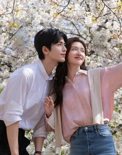 Phim xoay quanh bác sĩ Đông y Hà Tô Diệp và cô quản lý khách sạn Thẩm Tích Phàm. Cả hai gặp nhau khi cùng chữa lành những tổn thương trong cuộc sống. Nhịp phim chậm, khung hình đẹp và chuyện tình trưởng thành khiến tác phẩm được đánh giá là một trong những bộ phim chữa lành nổi bật.
