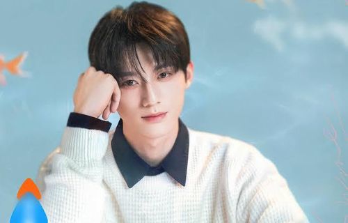 Lại Vĩ Minh thuộc nhóm diễn viên trẻ đang từng bước xây dựng tên tuổi tại Cbiz. Nhờ ngoại hình sáng và hình tượng thư sinh, anh thường xuất hiện trong các dự án ngôn tình, thanh xuân học đường và được kỳ vọng sẽ có bước tiến mạnh mẽ trong thời gian tới.