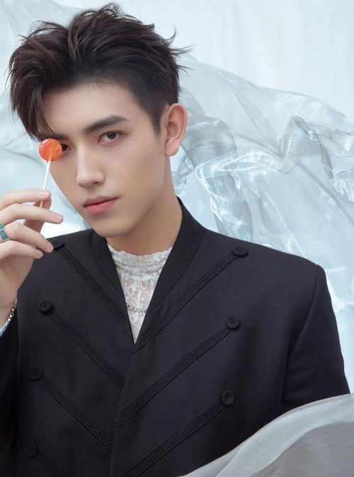 Sinh ra trong gia đình nghệ thuật với cha là đạo diễn Trần Khải Ca và mẹ là diễn viên Trần Hồng, Trần Phi Vũ sớm nhận được nhiều kỳ vọng. Sở hữu chiều cao 1,88 m cùng gương mặt điện ảnh, anh ghi dấu ấn với Chiếc Bật Lửa Và Váy Công Chúa, Hạo Y Hành và được đánh giá là một trong những tiểu sinh nổi bật của thế hệ mới.