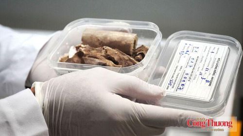 Viện Hàn lâm Khoa học và Công nghệ Việt Nam hiện đang lưu giữ 6.632 mẫu hài cốt liệt sĩ.