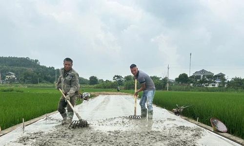 Tổ dân phố Tĩnh Lộc, phường Việt Yên cứng hóa đường giao thông.