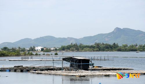 Một lồng bè nuôi cá ở khu vực Dự án nâng cấp, mở rộng khu neo đậu tránh trú bão cho tàu cá An Hòa kết hợp cảng cá Tam Quang. Ảnh: QUANG VIỆT