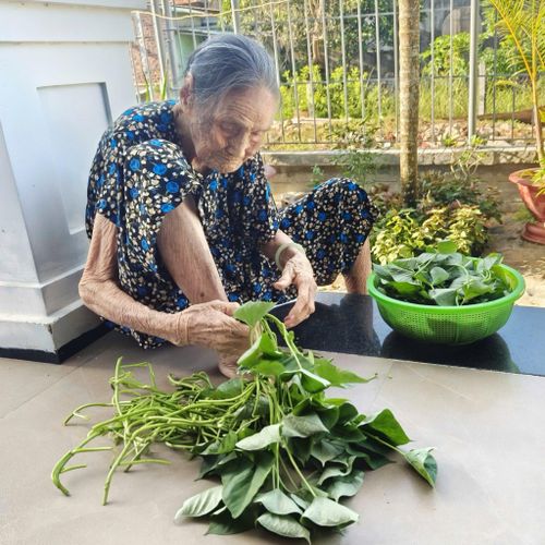 Bên hiên nhà, mẹ Nhỏ nhặt mớ rau lang chuẩn bị cho bữa cơm trưa. Ảnh: THÚY HIỀN