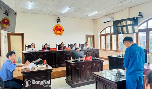 Toàn cảnh phiên tòa xét xử. Ảnh: Tố Tâm