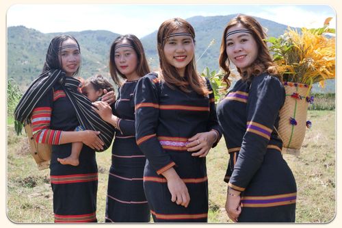 Những phụ nữ người dân tộc Cơ Ho trên cao nguyên Djiring - Lâm Đồng