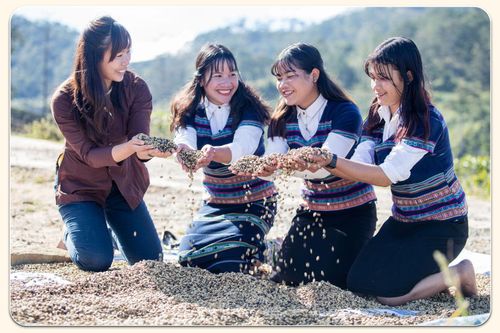 Niềm vui mùa cà phê bội thu