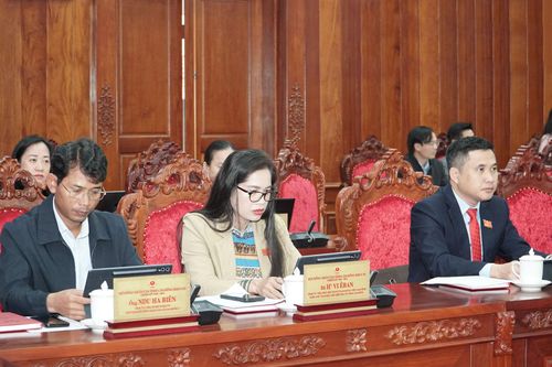 Đại biểu dự kỳ họp