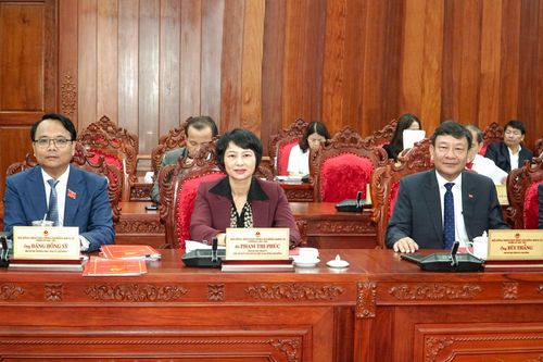 Các đồng chí: Đặng Hồng Sỹ, Phó Bí thư Thường trực Tỉnh ủy; Phạm Thị Phúc, Phó Bí thư Tỉnh ủy, Chủ tịch Ủy ban MTTQ Việt Nam tỉnh; Bùi Thắng, Phó Bí thư Tỉnh ủy dự kỳ họp