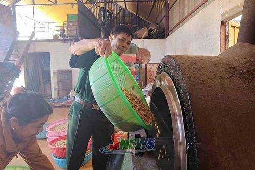 Mô hình cơ sở sản xuất bỏng ngô của thành viên HTX Thương binh 27/7 Mai Sơn.