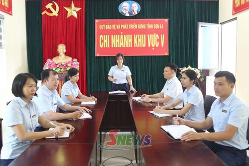 Chi nhánh khu vực V, Quỹ Bảo vệ và Phát triển rừng tỉnh triển khai nhiệm vụ.