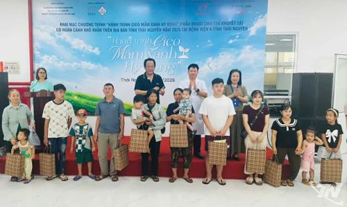 Trên 300 suất quà đã được trao cho trẻ em có hoàn cảnh khó khăn tham gia chương trình.
