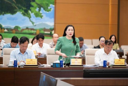 Phó Chủ nhiệm UBPLTP Nguyễn Thị Thủy trình bày Tờ trình tóm tắt Dự án Nghị quyết thay thế Nghị quyết số 96/2019/QH14 về công tác phòng, chống tội phạm và vi phạm pháp luật, công tác của Viện kiểm sát nhân dân, của Tòa án nhân dân và công tác thi hành án.