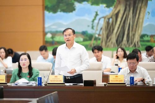 Thứ trưởng Nguyễn Văn Long phát biểu tại phiên họp.