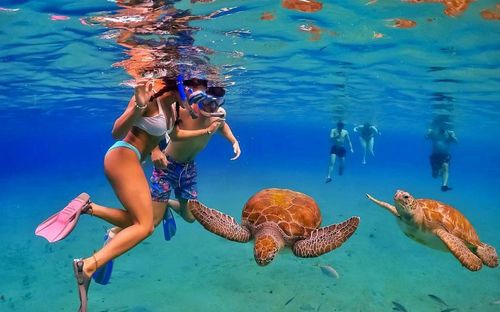 Lặn với ống thở (snorkeling) tại Curaçao đem lại cho khách du lịch cơ hội tuyệt vời, quan sát các loài sinh vật biển ở cự ly rất gần. Ảnh: civitatis