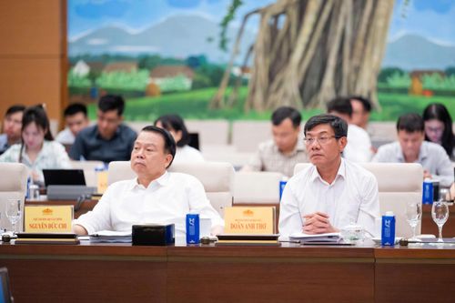 Phó Tổng Kiểm toán nhà nước Doãn Anh Thơ và các đại biểu tham dự Phiên họp. Ảnh: VPQH
