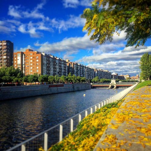 Thành phố Madrid đã nối những khu vực phía tây nam với trung tâm, đồng thời liên kết các công viên rời rạc thành hành lang môi trường khoảng 3.500ha. Ảnh: tripadvisor