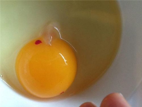 Trong đa số trường hợp, trứng có đốm máu vẫn an toàn để sử dụng nếu là trứng còn tươi.