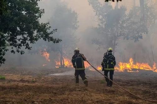 Trong chuyến thăm vùng Gironde hôm 27/7, ông Macron nói: "Pháp đang đối mặt với một vụ cháy rừng chưa từng có tiền lệ. Tình hình mà người dân đang đối phó là nghiêm trọng nhất mà chúng ta từng ghi nhận".