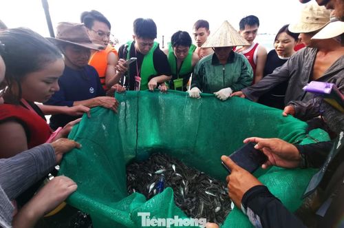 Du khách vây quanh mẻ lưới đầy cá, được ngư dân giới thiệu những loại cá xuất hiện nhiều trong mùa hè.