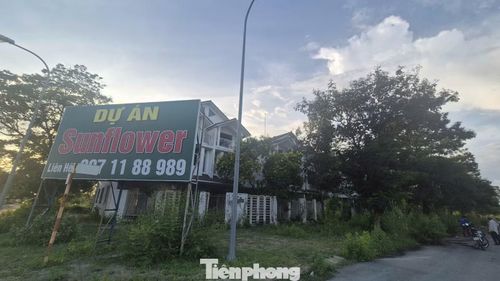 Dọc tuyến đường Lê Hồng Phong (xã Phước An, nay thuộc TP Đồng Nai), hàng loạt dự án quy mô hàng chục đến hàng trăm ha từng được các “ông lớn” như HUD, Phúc Khang hay Công ty Xây dựng Hà Nội đầu tư nay rơi vào cảnh hoang hóa. Khu vực này chủ yếu là những bãi đất trống, cỏ mọc um tùm, thậm chí được tận dụng để trồng sắn.