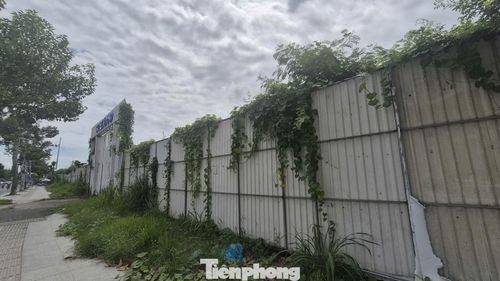 Theo giới thiệu của chủ đầu tư, dự án có quy mô 12.500 m², chia làm hai khu A và B, với tổng cộng 87 căn nhà phố thiết kế 5 tầng. Các căn có diện tích từ 100–130 m², diện tích sàn lên tới 570 m².