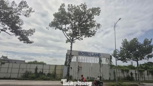 Trên trục đường Võ Thị Sáu – tuyến huyết mạch của đô thị Biên Hòa cũ (nay là phường Trấn Biên), dự án Diamond Central do Công ty Cổ phần Gotec Land làm chủ đầu tư, Công ty TNHH Gotec Việt Nam phát triển từng được kỳ vọng trở thành điểm nhấn cho khu vực trung tâm.