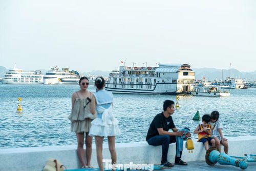 Không gian thoáng đãng ở khu vực dọc công viên là nơi nhiều tàu du lịch vịnh Hạ Long về neo đậu.
