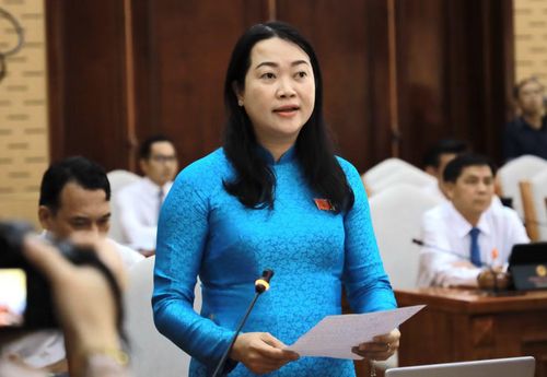 Các đại biểu chất vấn Giám đốc Sở NN&MT tỉnh An Giang.