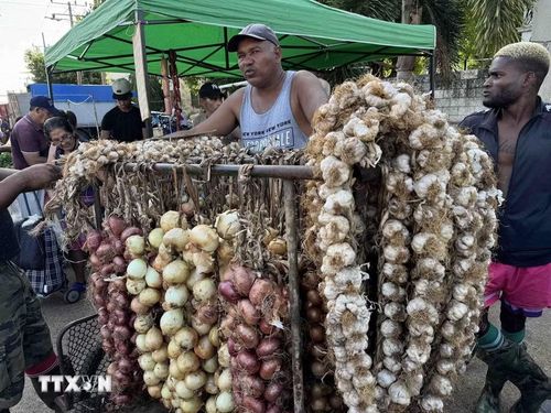 Quầy hành khô, hành tây và tỏi tại chợ. (Ảnh: Việt Hùng/TTXVN)
