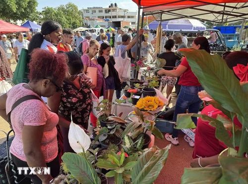 Bất chấp những khó khăn của cuộc sống, quầy bán hoa luôn đông khách. (Ảnh: Việt Hùng/TTXVN)