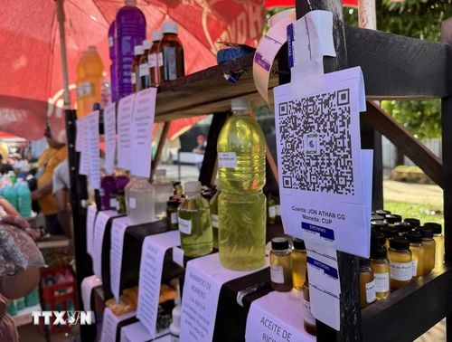 Các quầy hàng đều có mã QR để người mua tiện thanh toán. (Ảnh: Việt Hùng/TTXVN)