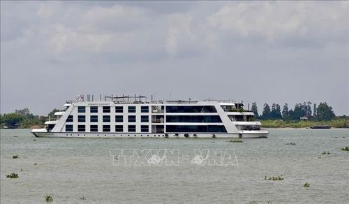 Xã Cù Lao Giêng (An Giang) là điểm dừng chân yêu thích trong các tour khám phá sông Mê Kông từ Thành phố Hồ Chí Minh đi Phnom Penh (Campuchia) của các hãng tàu quốc tế. Ảnh tư liệu: Thanh Sang/TTXVN