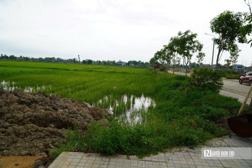 13 lô đất còn lại đều có diện tích 200m2, giá khởi điểm 3,096 tỷ đồng/lô, tương đương gần 15,5 triệu đồng/m2, vẫn sẽ được đấu giá theo đúng kế hoạch.