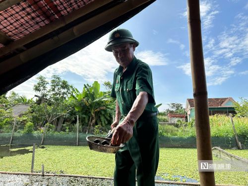 Yếu tố quan trọng nhất khi nuôi ốc bươu đen là nguồn nước phải luôn sạch.