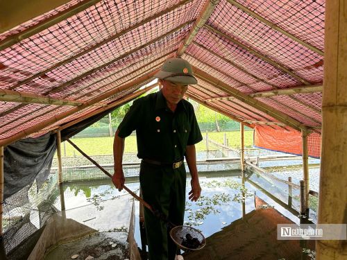 Sau nhiều năm, mô hình của gia đình đã có nguồn thu nhập ổn định.