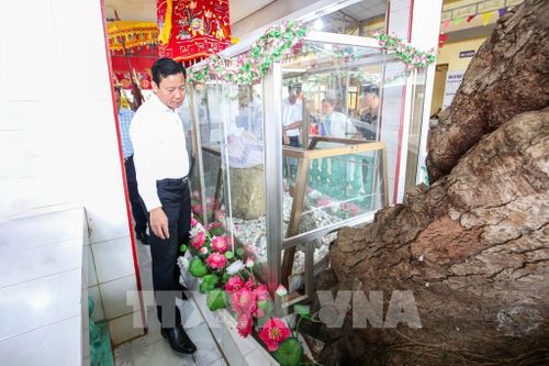 Khu lăng mộ Quan lớn Trà Vong được gìn giữ trang nghiêm, trở thành địa chỉ đỏ giáo dục truyền thống cho các thế hệ hôm nay. Ảnh: Giang Phương - TTXVN