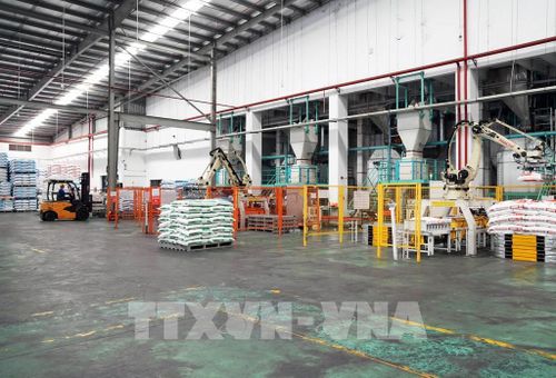 Công nhân sản xuất tại Công ty TNHH Sinh vật Thăng Long trong Khu công nghiệp Hòa Phú, tỉnh Vĩnh Long. Ảnh: Phạm Minh Tuấn - TTXVN