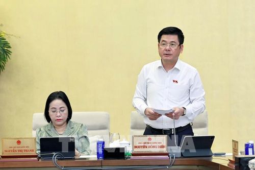 Phó Chủ tịch Quốc hội Nguyễn Hồng Diên phát biểu. Ảnh: Doãn Tấn - TTXVN