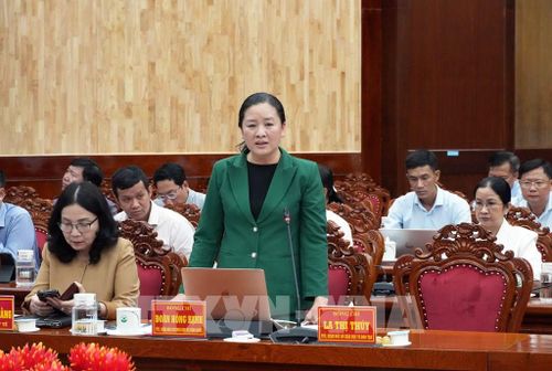 Giám đốc Sở Khoa học và Công nghệ tỉnh Vĩnh Long Đoàn Hồng Hạnh phát biểu tại hội nghị. Ảnh: Phạm Minh Tuấn-TTXVN