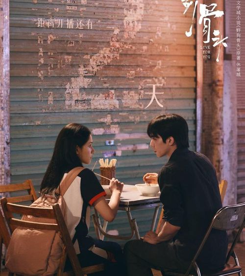 Lấy bối cảnh thập niên 1990, Chó Hoang Và Xương là tác phẩm chuyển thể từ tiểu thuyết của Hưu Đồ Thành, do Tống Uy Long và Trương Tịnh Nghi đảm nhận vai chính. Phim xoay quanh Trần Dị và Miêu Tĩnh - hai người không cùng huyết thống nhưng trở thành anh em trên danh nghĩa sau khi cha mẹ chung sống. Trải qua tuổi thơ đầy biến cố và bạo hành gia đình, cả hai nương tựa vào nhau để trưởng thành. Sau nhiều năm chia cắt bởi một vụ hỏa hoạn, họ gặp lại trong bối cảnh quá khứ và những bí mật liên quan đến tội phạm dần được hé lộ.