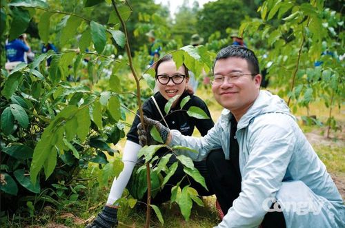 Các bạn trẻ hào hứng trồng cây xanh.