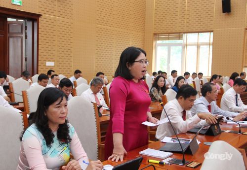 Các đại biểu thảo luận thông qua Nghị quyết tại kỳ họp