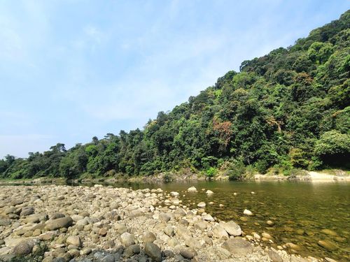 Đoạn sông Ngàn Phố tại Bảo tồn đa dạng sinh học đầu nguồn sông Ngàn phố (HEPA). Ảnh: Phạm Sơn.