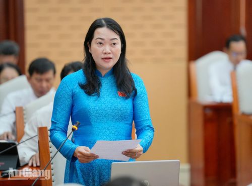 Đại biểu Nguyễn Thị Ngọc Bích, Tổ đại biểu số 27 HĐND tỉnh chất vấn Giám đốc Sở Nông nghiệp và Môi trường tỉnh An Giang.