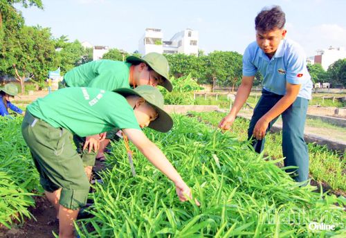 Học viên cùng tham gia chăm sóc vườn rau.